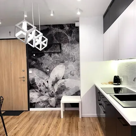 Lägenhet Comfort & Style 2-room And Free Parking